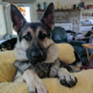 Meet your Posher, Janine